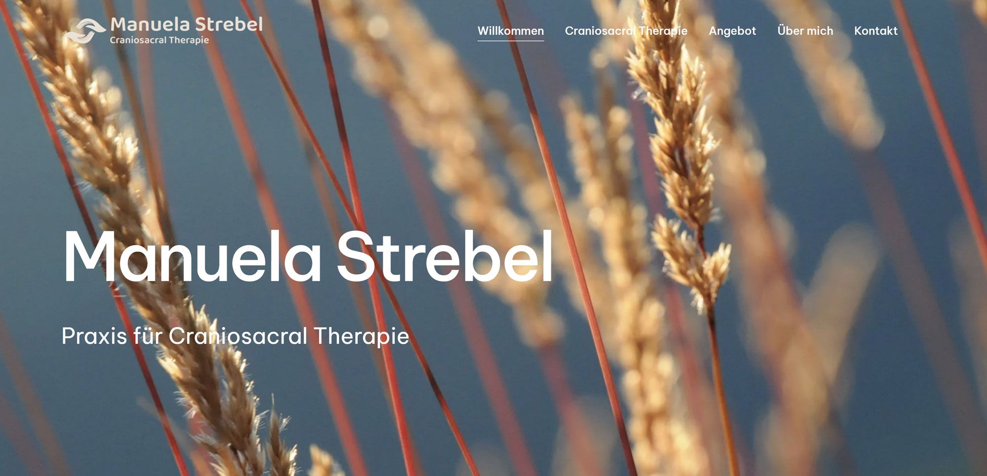 manuelastrebel.ch