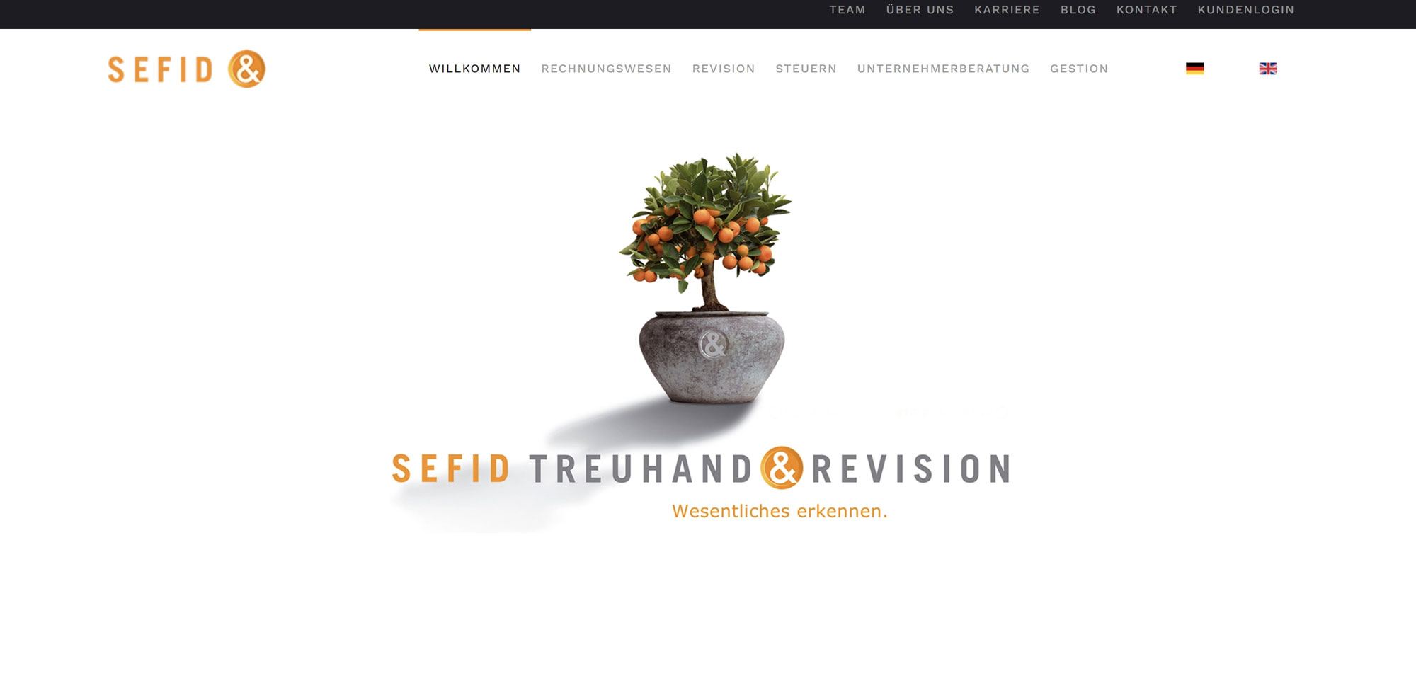 SEFID Treuhand und Revision