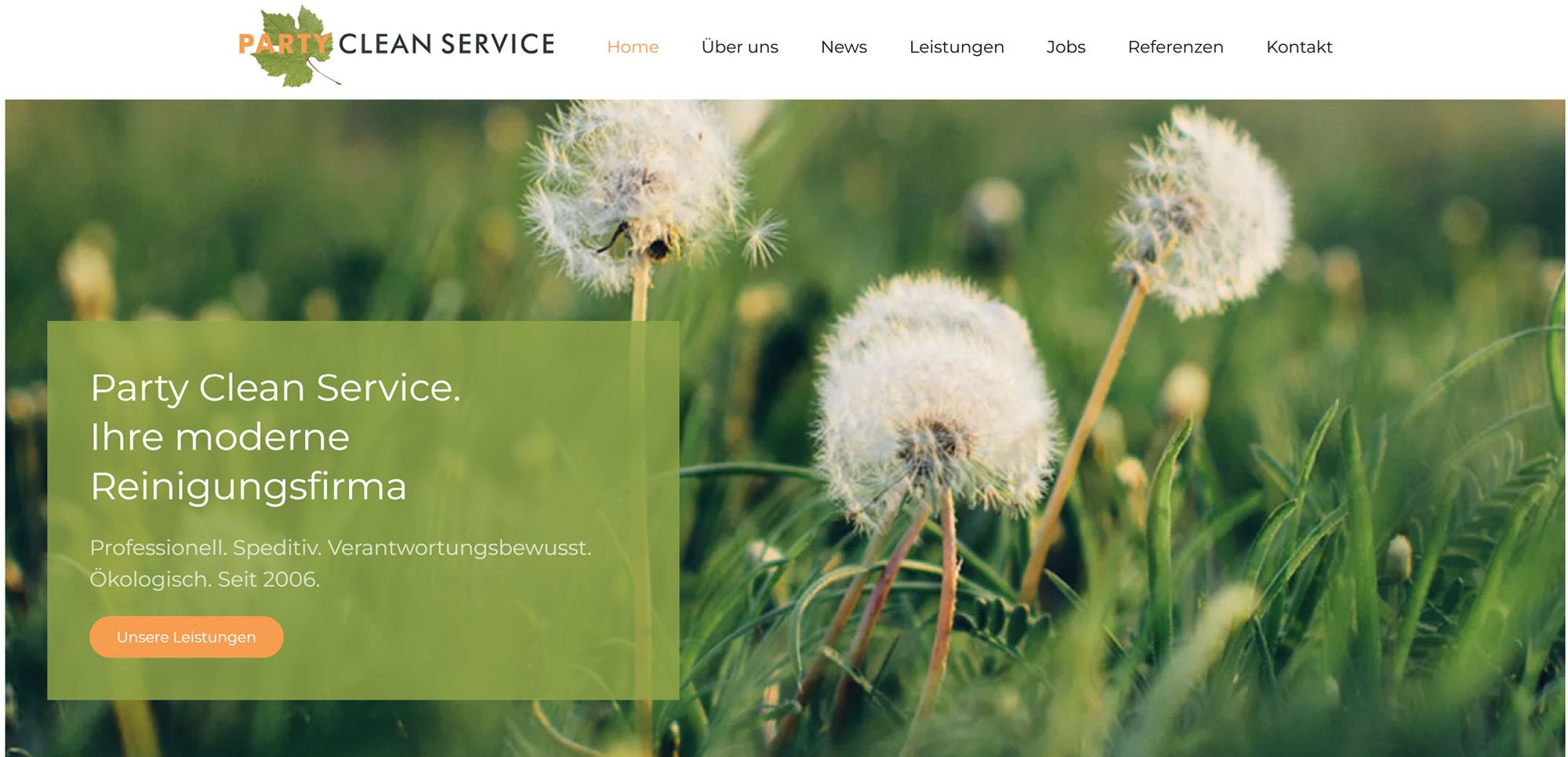 Party Clean Service